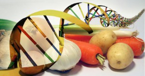 dna-alimenti